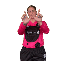 Play Win Sticker by Somerset County Cricket Club