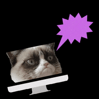 ungmediasverige media grumpy cat ung media kongressen GIF