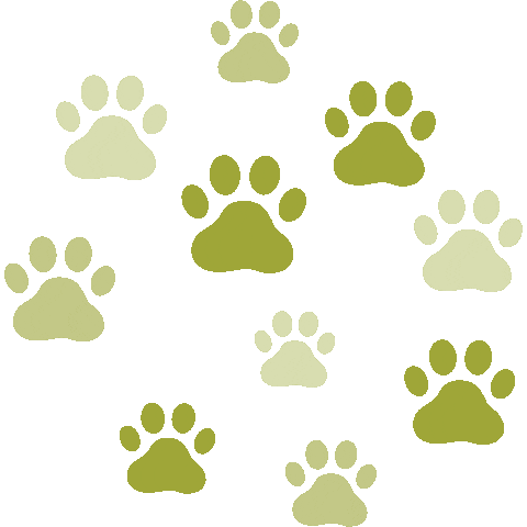 Paws Wpo Sticker by The Wholistic Pet