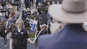 winner champion GIF by World Horse Racing