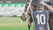 winner champion GIF by World Horse Racing