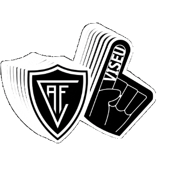 Futebol Portugal Sticker by Académico de Viseu