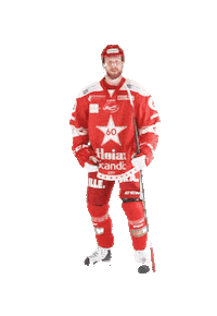 Stjernen Elite Sticker by StjernenHockey