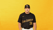 Cal State La Sport GIF by Cal State LA Golden Eagles