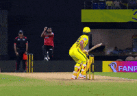 Sunrisers Hyderabad Wicket GIF