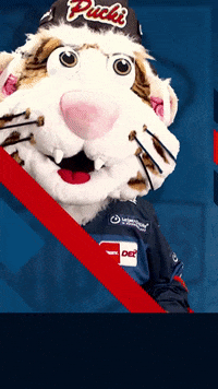 Nuernberg_Ice_Tigers icetigers ice tigers nürnberg ice tigers GIF