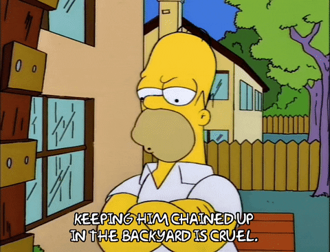 homer simpson GIF