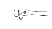 illustration line drawing GIF by David Shrigley