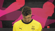 Posing Borussia Dortmund GIF by Bundesliga