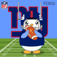 New York Football GIF by Pudgy Penguins