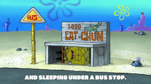 season 9 gary's new toy GIF by SpongeBob SquarePants