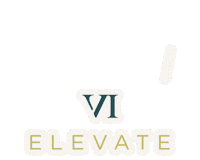 Vielevate Sticker by VI Peel