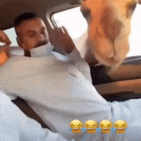 Best Friend Prank GIF