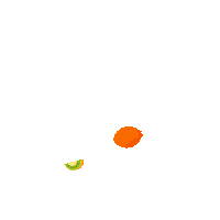 New Zealand Summer Sticker by klooktravel