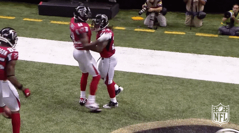 atlanta falcons football GIF by NFL