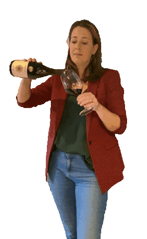 JKVirtualAssistant giphyupload cheers wine proost Sticker