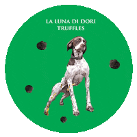 lalunadidoritruffles dogs perros italian food truffle Sticker
