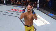 rafael dos anjos ufc GIF
