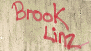 City Brooklyn GIF by Linz verendet