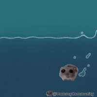 Water Swimming GIF by Sad Hamster