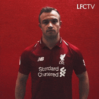 premier league football GIF by Liverpool FC