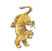 Tiger Sticker