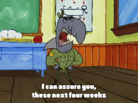 season 4 krusty towers GIF by SpongeBob SquarePants