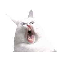 rabbit STICKER by imoji