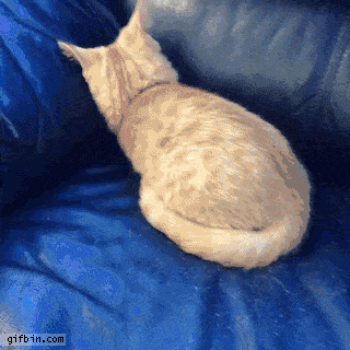 time someone GIF