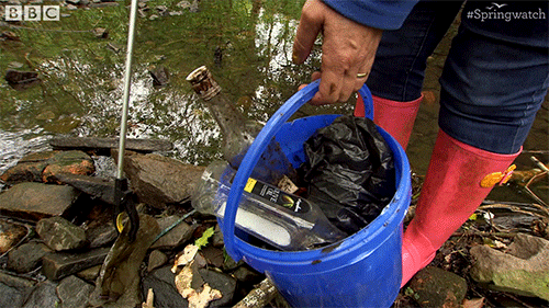 british uk GIF by BBC Earth