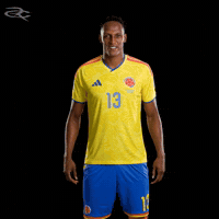 Fifa World Cup Colombia GIF by Respective