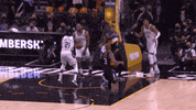 Nba Finals Sport GIF by NBA