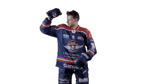 Lucien Sticker by Les Ducs d'Angers