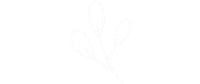 Christmas Flower Sticker