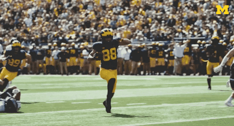 Excited College Football GIF by Michigan Athletics