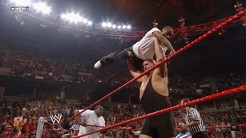 wrestling GIF by WWE
