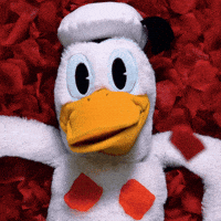 SanPitoPato donald duck pato pato donald san pito pato GIF