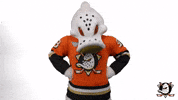 No Problem Yes GIF by Anaheim Ducks