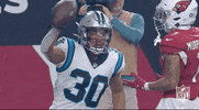 Carolina Panthers Football GIF by NFL