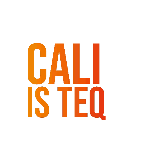 Caliteq Sticker by Teqball