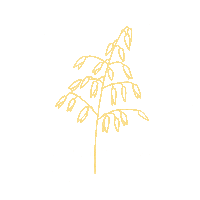 Surdeig Sticker by Dalheim Gaard