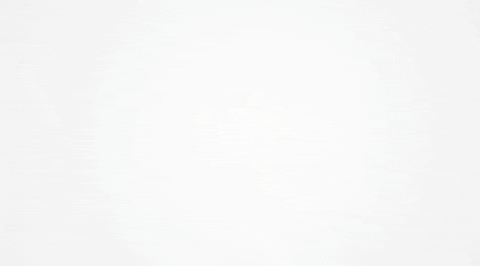 MJNeilanZRS giphygifmaker GIF