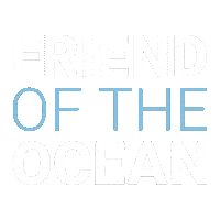 Surfrider Foundation Friends Sticker by Surfrider