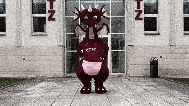 fc metz football GIF