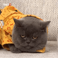 See You Ok GIF by TRT