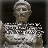 News Page GIF