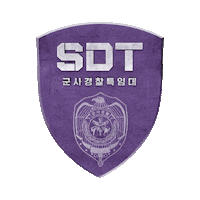 Sdt Sticker by Channel A