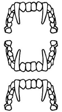 Dog Teeth Sticker by oxstreets