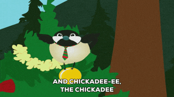 bird tree GIF by South Park 