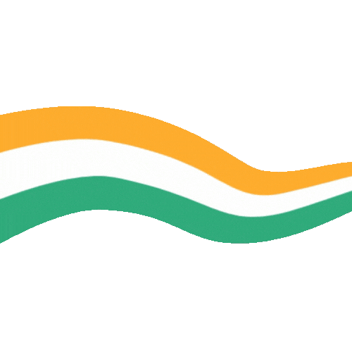 Independence Day Sticker Sticker by Concept Holidayz